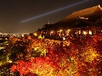 ホテルから徒歩約5分の清水寺で、秋の夜間特別拝観が今年も開催されます。
