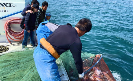 Scene of catching sea bream